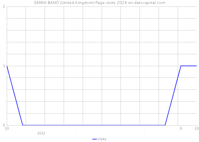 SAMIA BANO (United Kingdom) Page visits 2024 