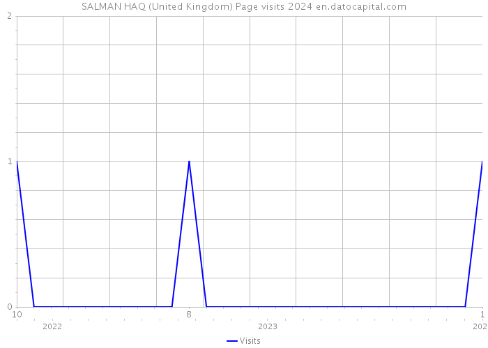 SALMAN HAQ (United Kingdom) Page visits 2024 