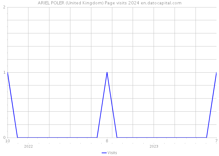 ARIEL POLER (United Kingdom) Page visits 2024 