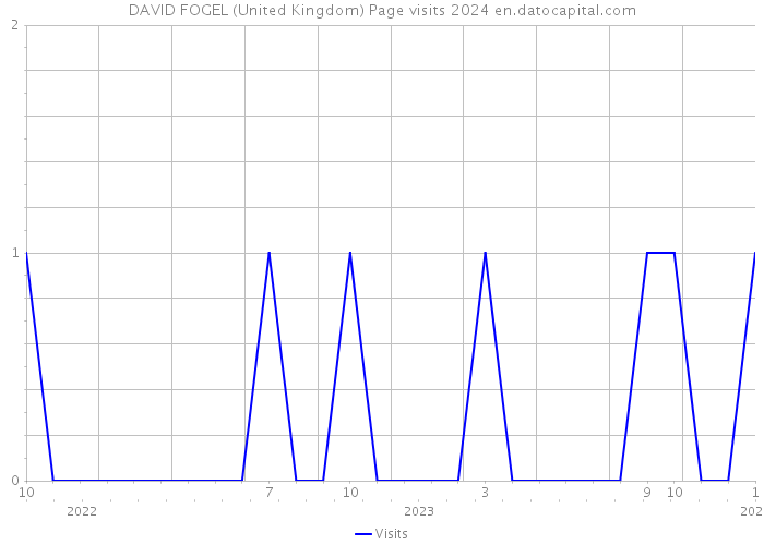 DAVID FOGEL (United Kingdom) Page visits 2024 