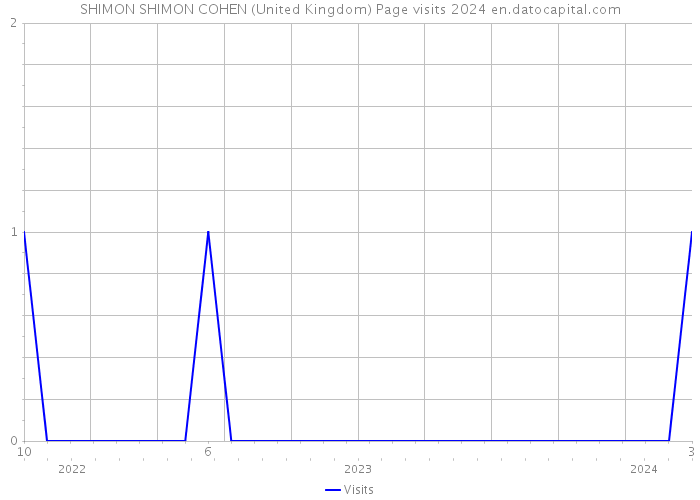 SHIMON SHIMON COHEN (United Kingdom) Page visits 2024 