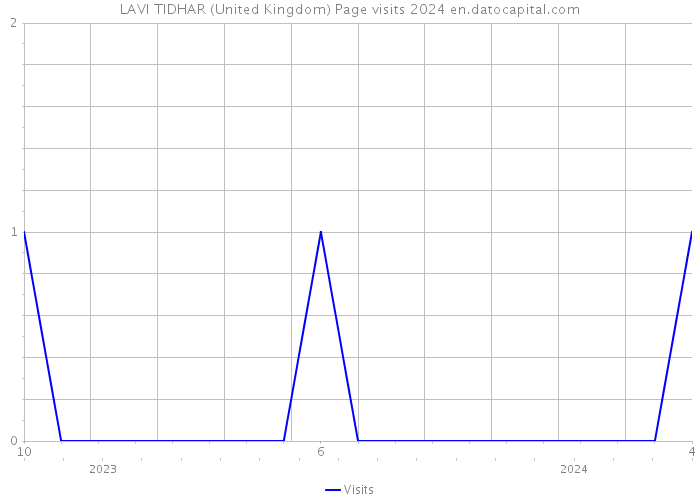 LAVI TIDHAR (United Kingdom) Page visits 2024 