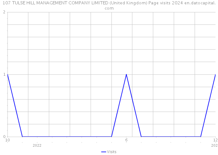 107 TULSE HILL MANAGEMENT COMPANY LIMITED (United Kingdom) Page visits 2024 
