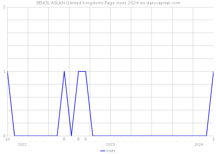 SENOL ASLAN (United Kingdom) Page visits 2024 