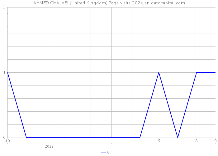 AHMED CHALABI (United Kingdom) Page visits 2024 
