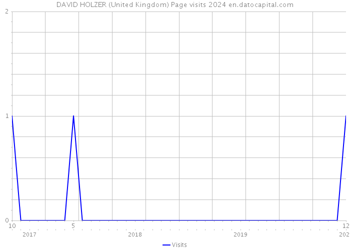 DAVID HOLZER (United Kingdom) Page visits 2024 