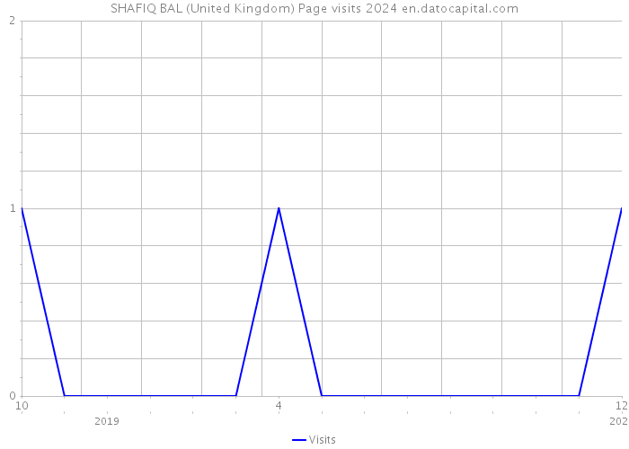 SHAFIQ BAL (United Kingdom) Page visits 2024 