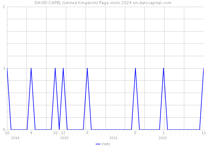 DAVID CAPEL (United Kingdom) Page visits 2024 