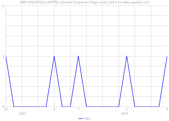 NEM HOLDINGS LIMITED (United Kingdom) Page visits 2024 