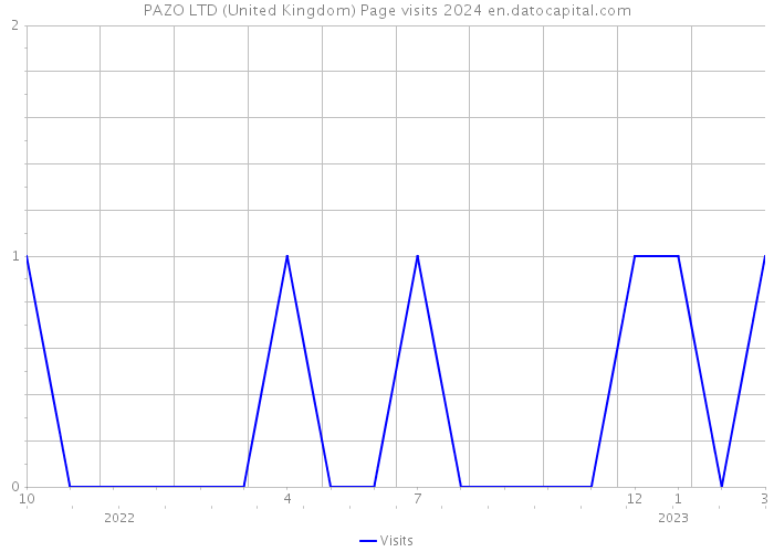 PAZO LTD (United Kingdom) Page visits 2024 