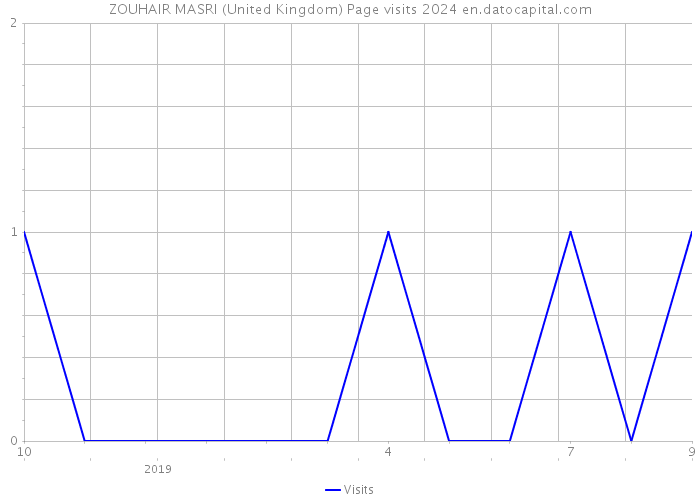 ZOUHAIR MASRI (United Kingdom) Page visits 2024 