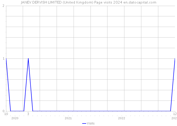JANEV DERVISH LIMITED (United Kingdom) Page visits 2024 