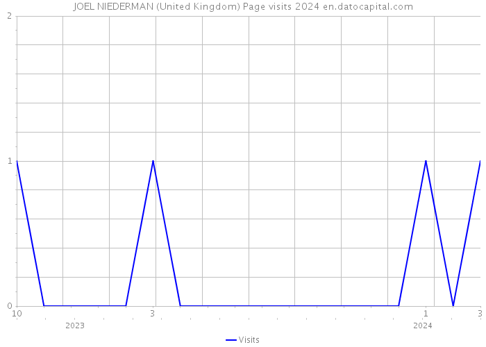 JOEL NIEDERMAN (United Kingdom) Page visits 2024 