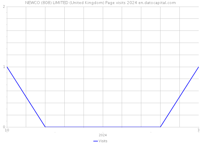 NEWCO (808) LIMITED (United Kingdom) Page visits 2024 