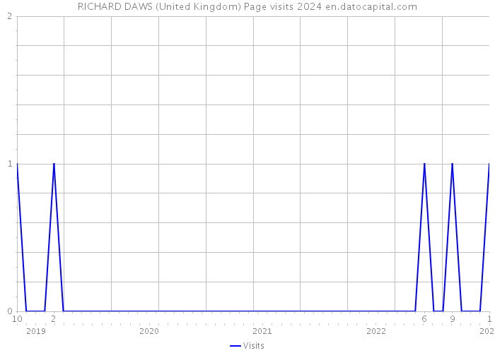 RICHARD DAWS (United Kingdom) Page visits 2024 