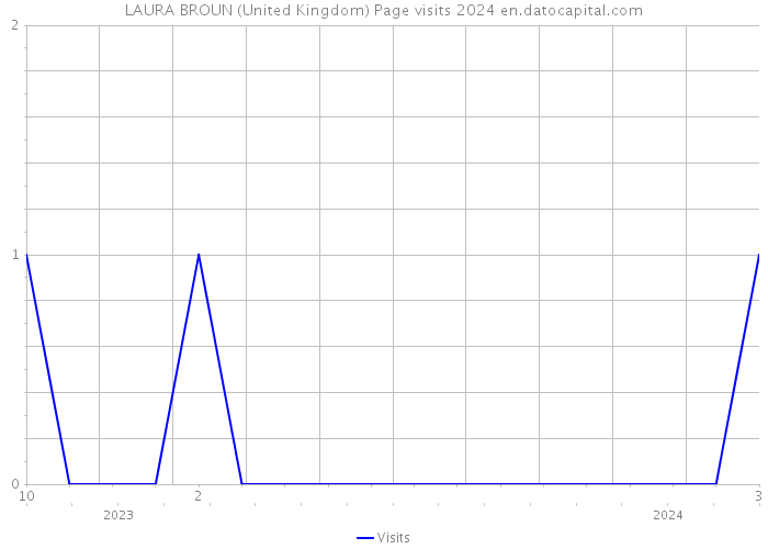 LAURA BROUN (United Kingdom) Page visits 2024 