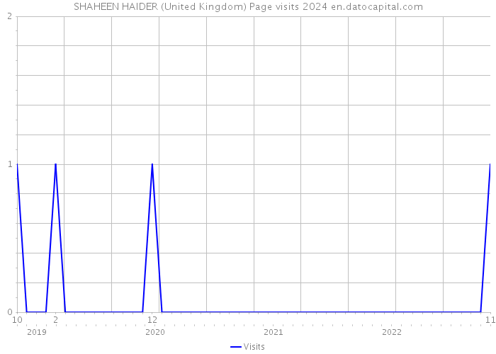 SHAHEEN HAIDER (United Kingdom) Page visits 2024 