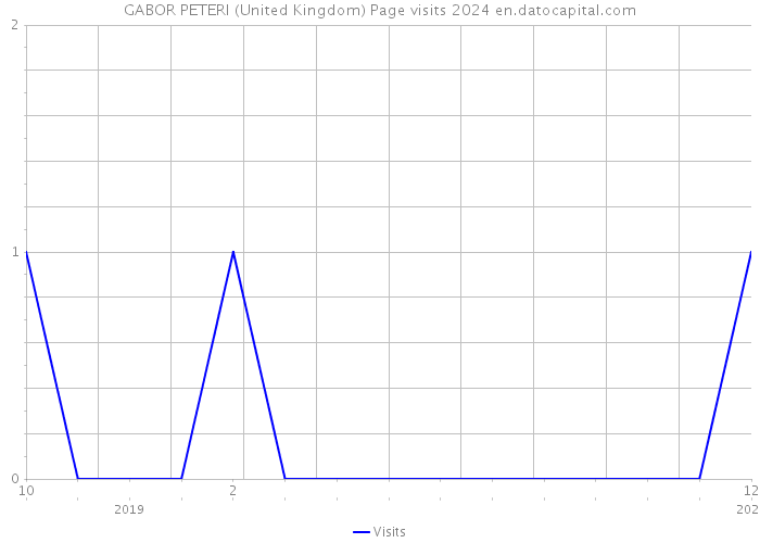 GABOR PETERI (United Kingdom) Page visits 2024 