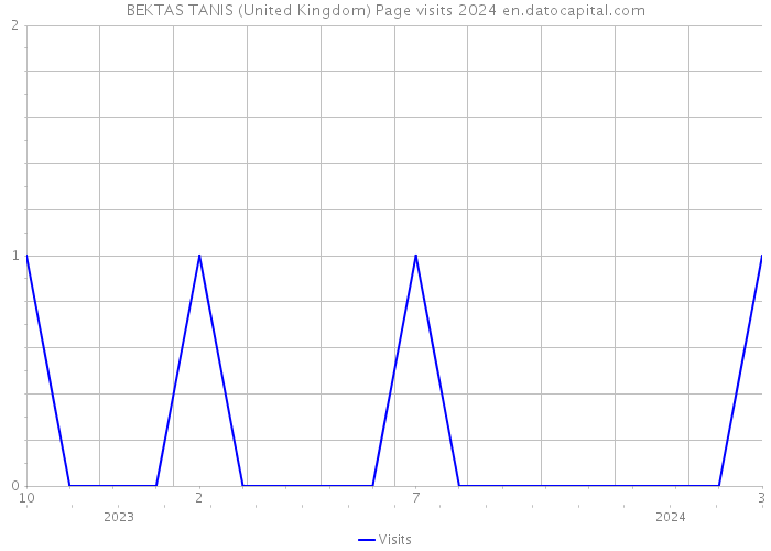 BEKTAS TANIS (United Kingdom) Page visits 2024 