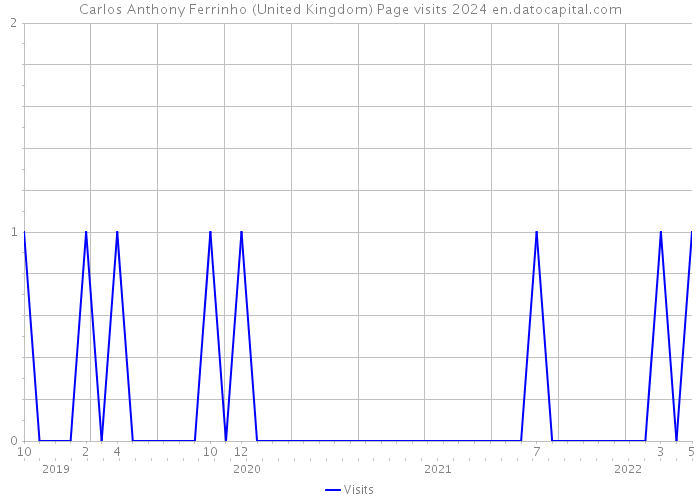 Carlos Anthony Ferrinho (United Kingdom) Page visits 2024 
