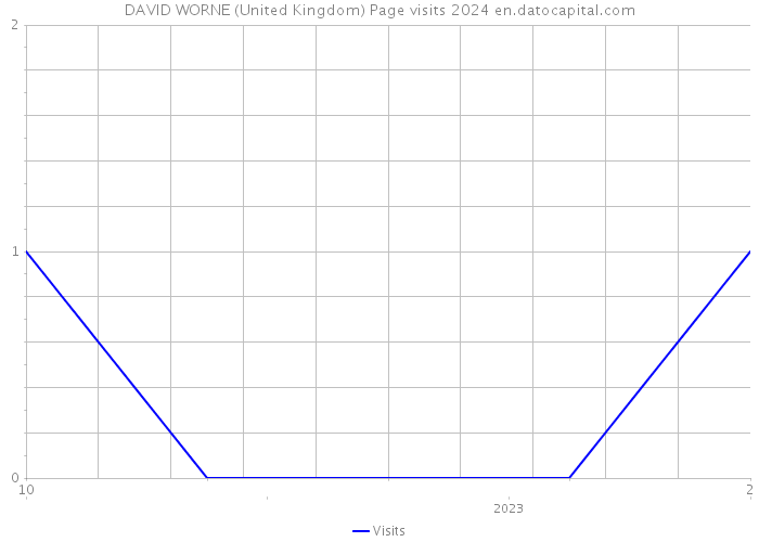 DAVID WORNE (United Kingdom) Page visits 2024 