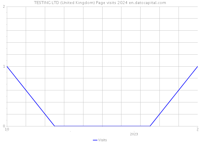 TESTING LTD (United Kingdom) Page visits 2024 