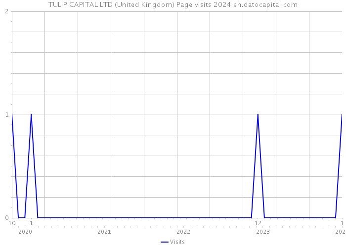 TULIP CAPITAL LTD (United Kingdom) Page visits 2024 