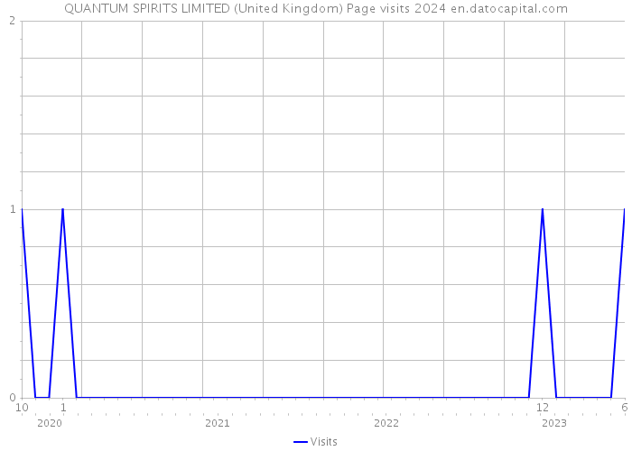 QUANTUM SPIRITS LIMITED (United Kingdom) Page visits 2024 