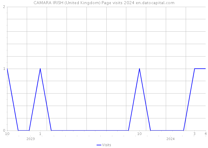 CAMARA IRISH (United Kingdom) Page visits 2024 