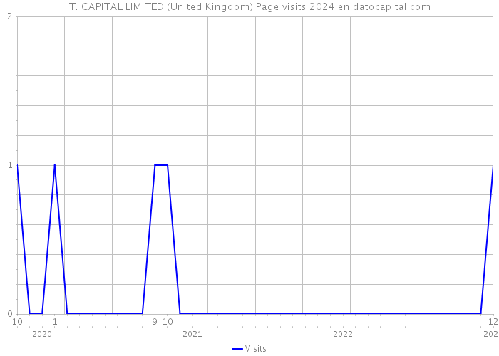 T. CAPITAL LIMITED (United Kingdom) Page visits 2024 