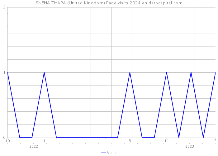 SNEHA THAPA (United Kingdom) Page visits 2024 