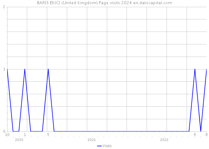 BARIS EKICI (United Kingdom) Page visits 2024 
