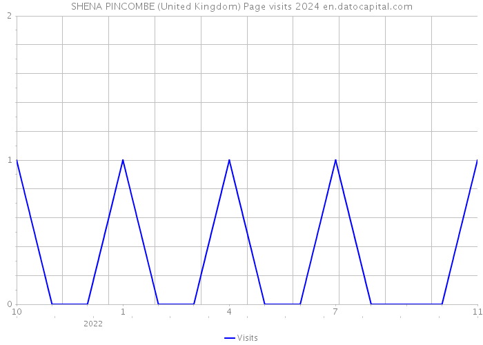 SHENA PINCOMBE (United Kingdom) Page visits 2024 