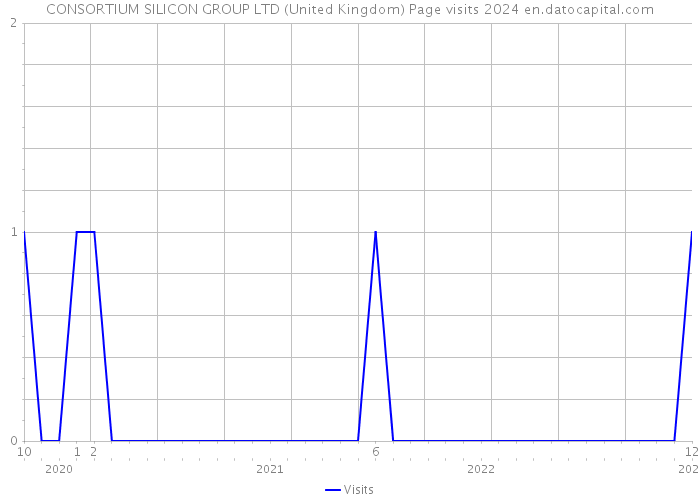 CONSORTIUM SILICON GROUP LTD (United Kingdom) Page visits 2024 