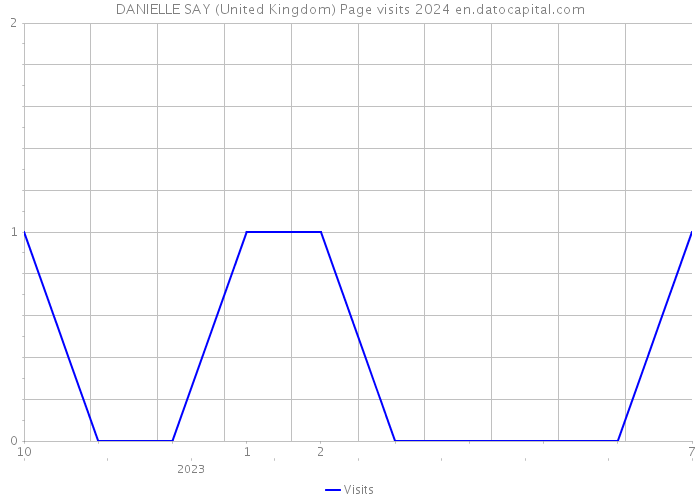 DANIELLE SAY (United Kingdom) Page visits 2024 