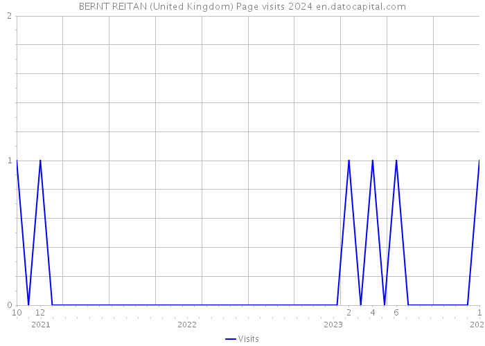 BERNT REITAN (United Kingdom) Page visits 2024 