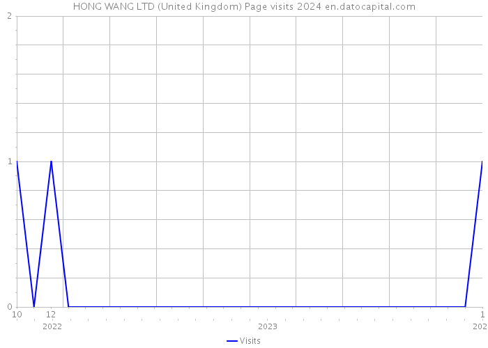 HONG WANG LTD (United Kingdom) Page visits 2024 