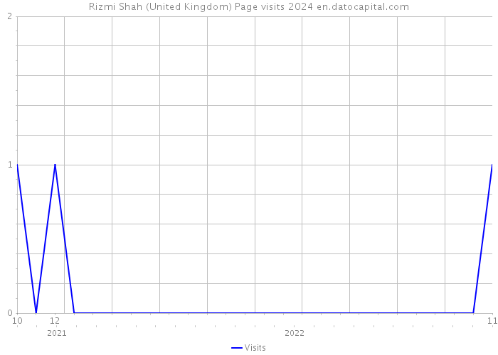 Rizmi Shah (United Kingdom) Page visits 2024 