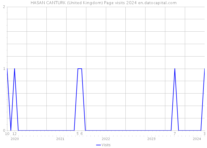 HASAN CANTURK (United Kingdom) Page visits 2024 