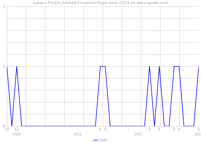 Lukasz Fiedor (United Kingdom) Page visits 2024 