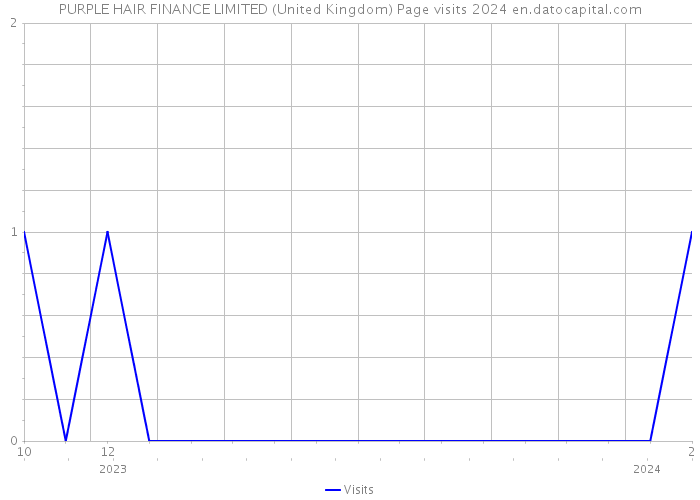 PURPLE HAIR FINANCE LIMITED (United Kingdom) Page visits 2024 