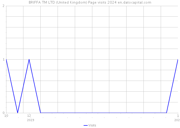 BRIFFA TM LTD (United Kingdom) Page visits 2024 
