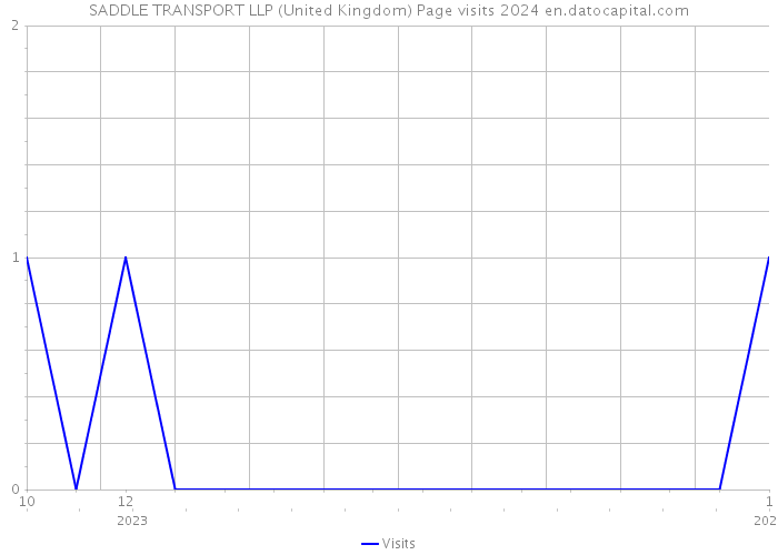 SADDLE TRANSPORT LLP (United Kingdom) Page visits 2024 