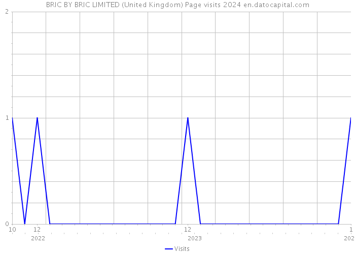 BRIC BY BRIC LIMITED (United Kingdom) Page visits 2024 