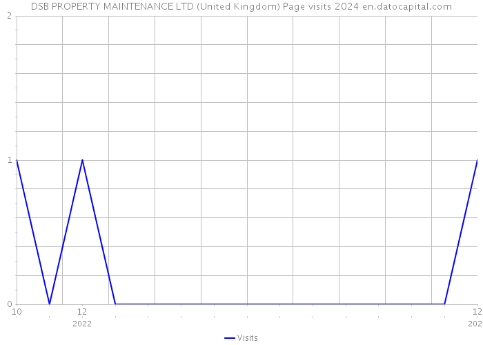 DSB PROPERTY MAINTENANCE LTD (United Kingdom) Page visits 2024 