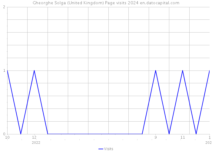 Gheorghe Solga (United Kingdom) Page visits 2024 