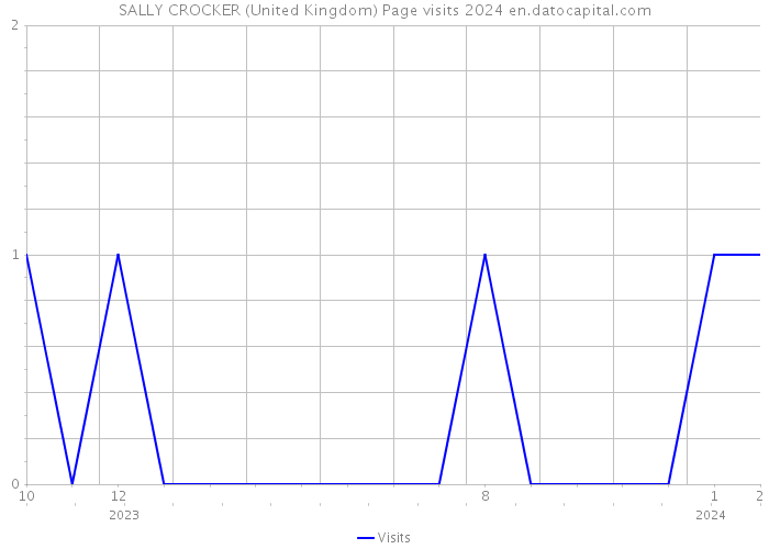 SALLY CROCKER (United Kingdom) Page visits 2024 