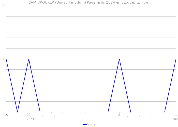 SAM CROCKER (United Kingdom) Page visits 2024 