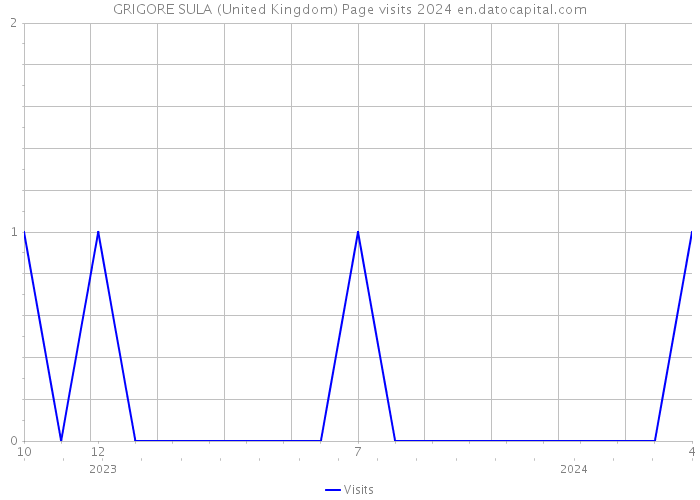 GRIGORE SULA (United Kingdom) Page visits 2024 