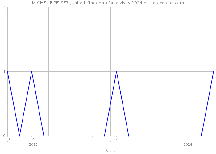 MICHELLE PELSER (United Kingdom) Page visits 2024 